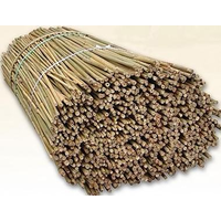 Колышки бамбуковые 60см 1шт